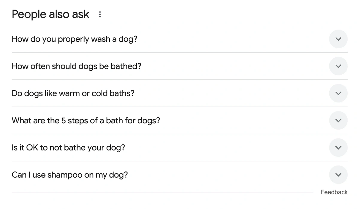 People Also Ask data for example query